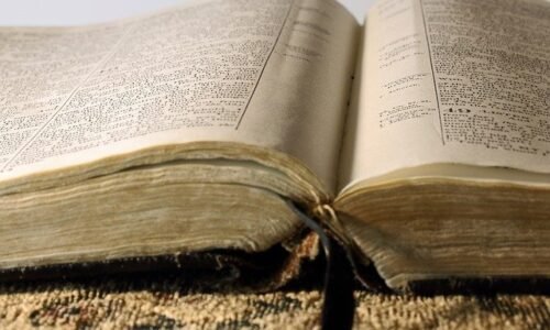 Bible Foundation: Interactive Word Edition